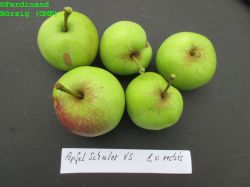 ApfeAutoSchulerVL_1vre_1