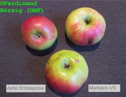ApfelErddeponie_1