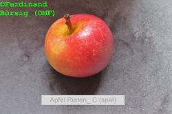ApfelRietenCspaett_1